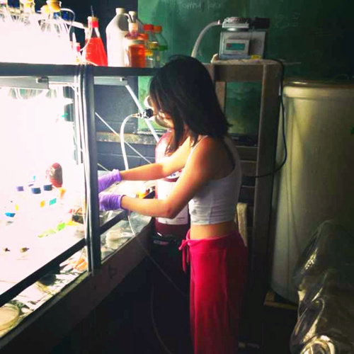 中山大学罗同学美国