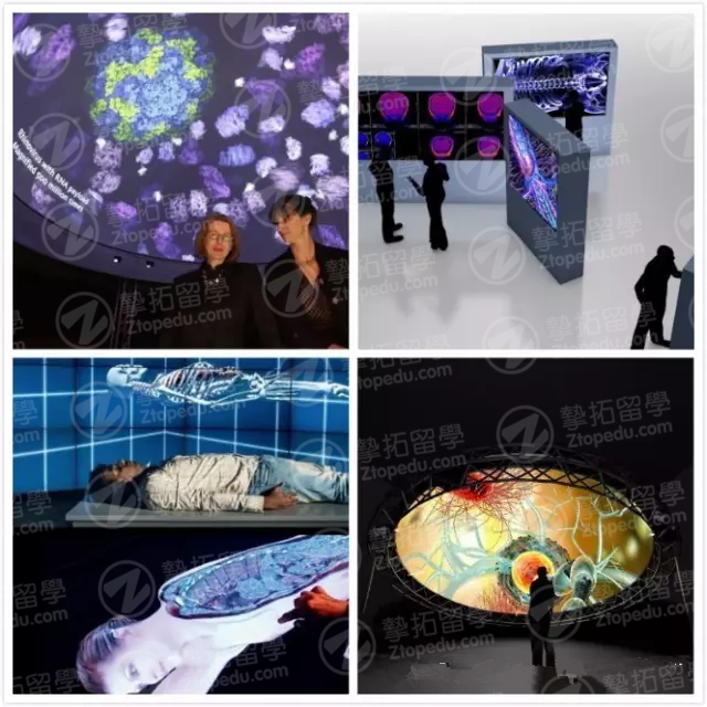 7_副本.png 7_副本.png