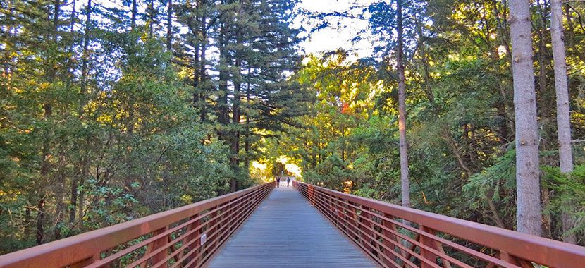 加州大学圣克鲁兹分校——硅谷在向你招手!