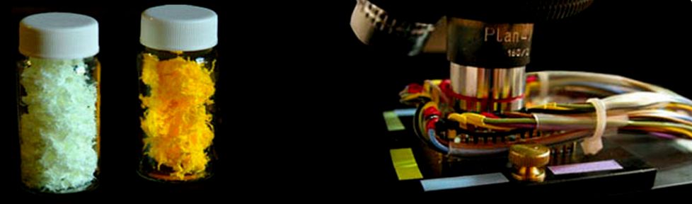 加州大学圣克鲁兹分校——硅谷在向你招手!