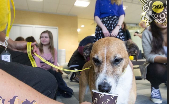【英国留学】华威,一所值得你喜欢,也值得你怀念的大学