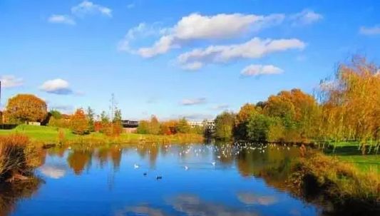 【英国留学】华威,一所值得你喜欢,也值得你怀念的大学