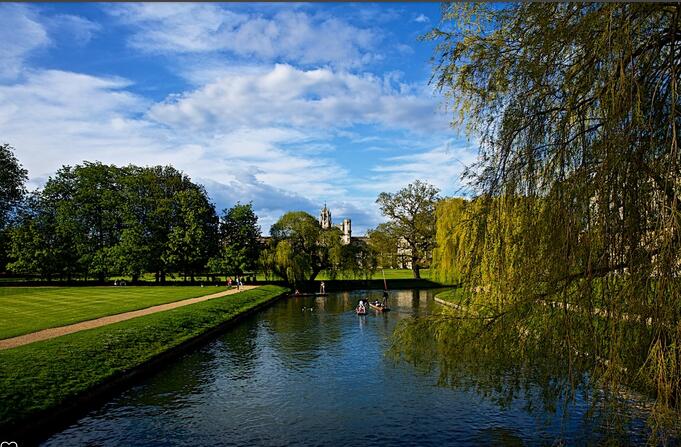 【英国留学】透过牛津剑桥的专业录取率,看看申请秘籍