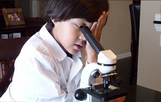 我和天才之间的距离,差了几个康奈尔大学的录取?