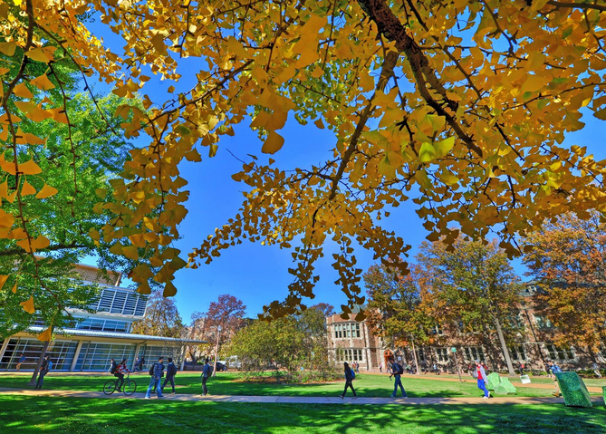 【美国留学】压力最大的美国大学排名