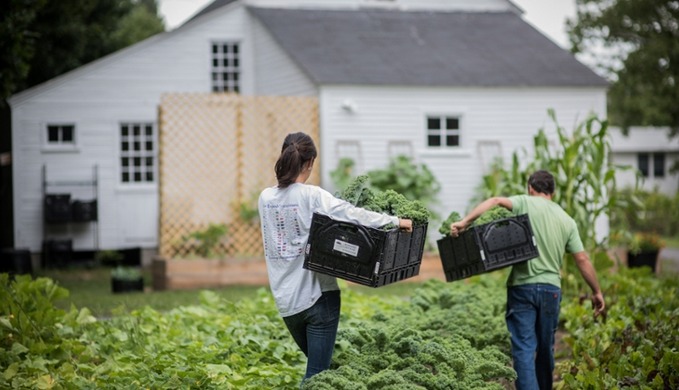 美国大学连饭堂都有排名?
