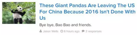 2016还没放过美国!连熊猫都要离开了!