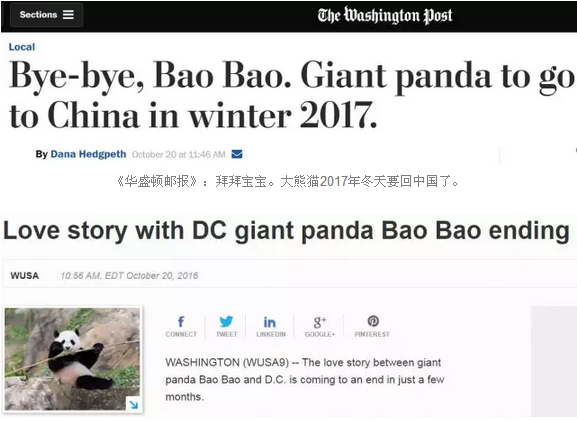 2016还没放过美国！连熊猫都要离开了！