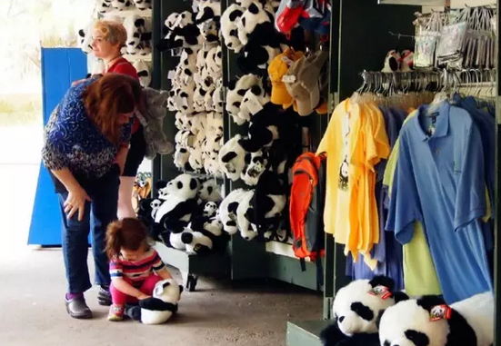 2016还没放过美国!连熊猫都要离开了!