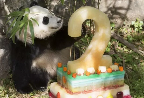 2016还没放过美国!连熊猫都要离开了!