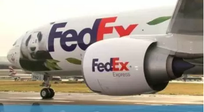 2016还没放过美国!连熊猫都要离开了!