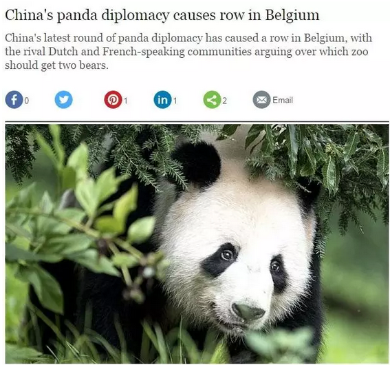 2016还没放过美国!连熊猫都要离开了!