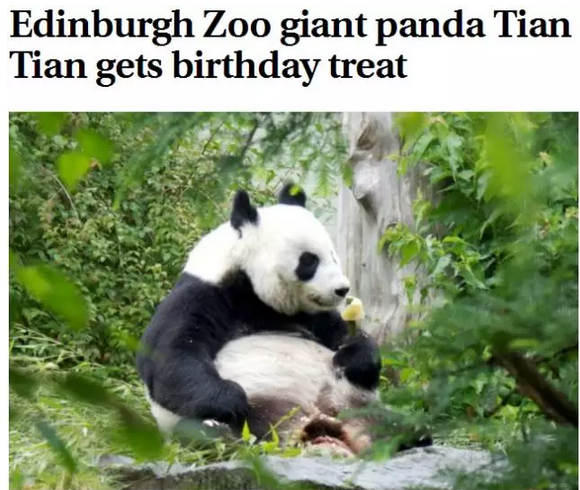 2016还没放过美国!连熊猫都要离开了!