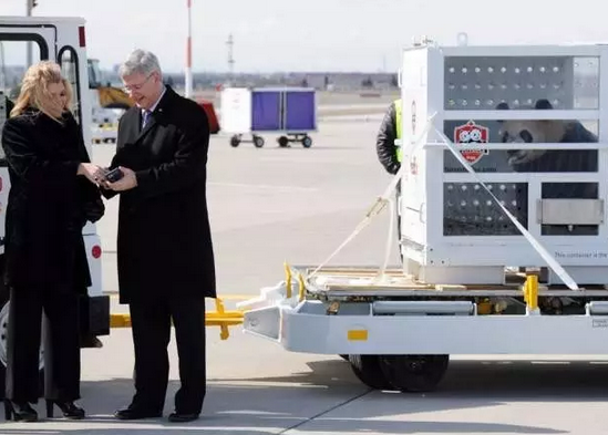 2016还没放过美国!连熊猫都要离开了!