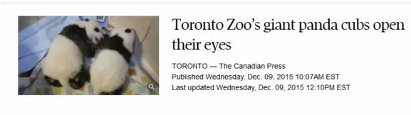 2016还没放过美国!连熊猫都要离开了!