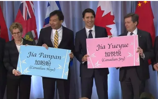 2016还没放过美国!连熊猫都要离开了!