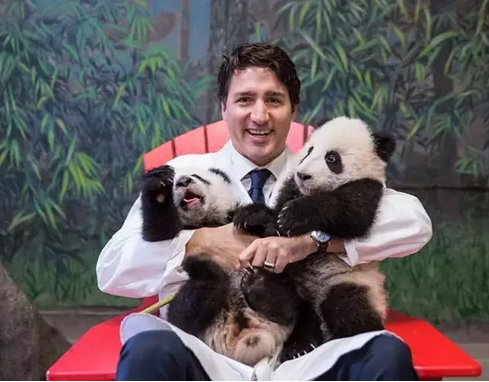 2016还没放过美国!连熊猫都要离开了!