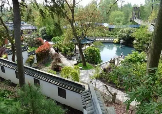 2016还没放过美国!连熊猫都要离开了!