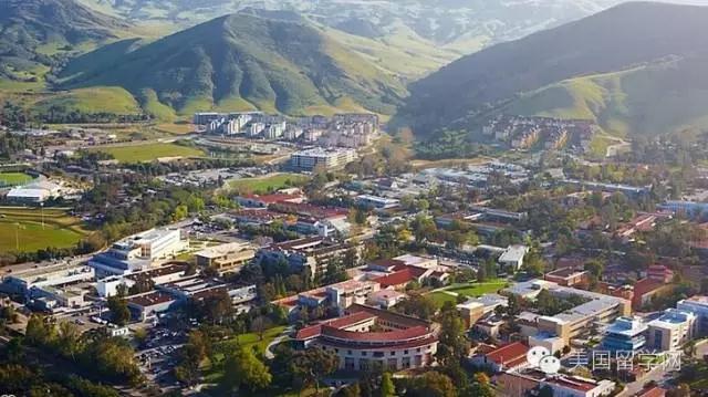 【美国留学】硅谷最爱录用哪20所美国大学的毕业生?