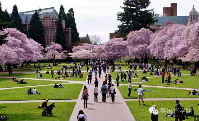 【美国留学】硅谷最爱录用哪20所美国大学的毕业生?