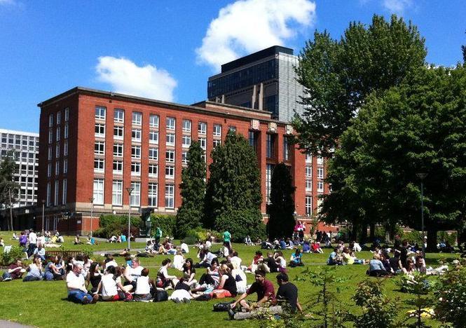 20131108120051-371102981.jpg 20131108120051-371102981.jpg