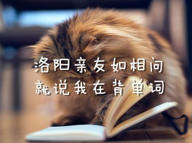 【托福考试】如何高效记忆TOEFL单词?