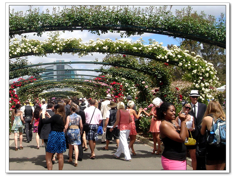 在澳洲你还不知道墨尔本杯赛马节吗?