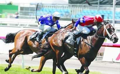 在澳洲你还不知道墨尔本杯赛马节吗?