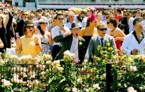 在澳洲你还不知道墨尔本杯赛马节吗?