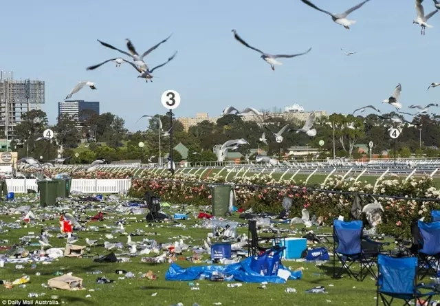 在澳洲你还不知道墨尔本杯赛马节吗?