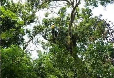 八一下香港的“紧缺职位”