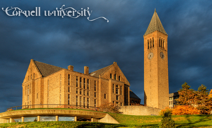 【美国留学】美国大学连睡眠时间都有排名,谁最缺觉?