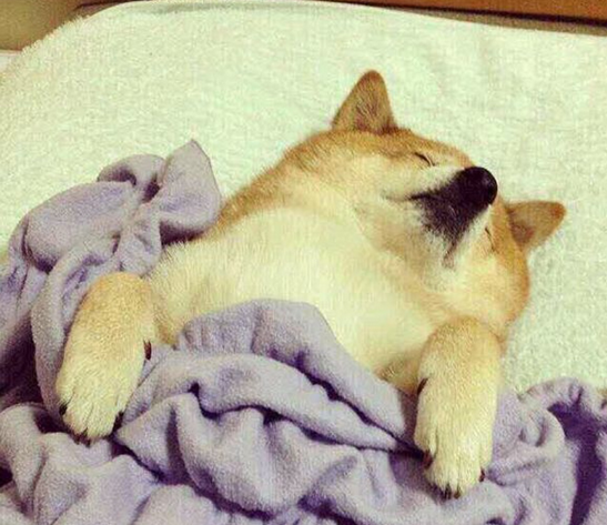 【美国留学】美国大学连睡眠时间都有排名,谁最缺觉?