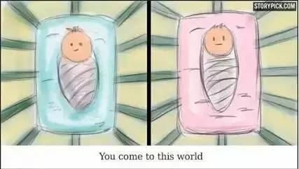 【挚拓寄语】人生其实是……