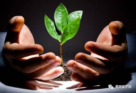 【留学生活】蒋勋:分数越高的孩子, 越要特别小心