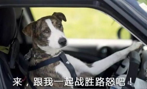 【美国资讯】美国这个几个城市，逃不开堵车的命运