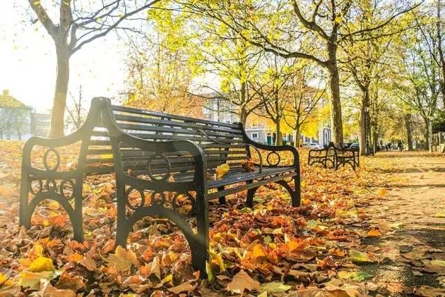 【英国留学】英国,我喜欢的样子你都有