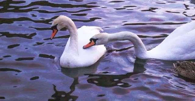 【英国留学】英国,我喜欢的样子你都有