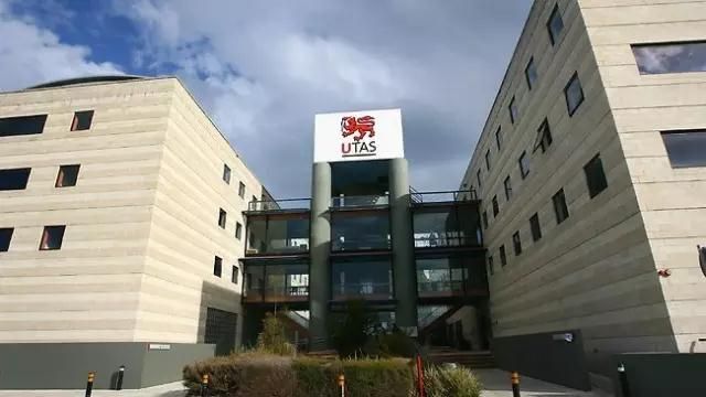 塔斯马尼亚大学|美呆了!澳洲会发光的海滩,一片片蓝色荧光好梦幻