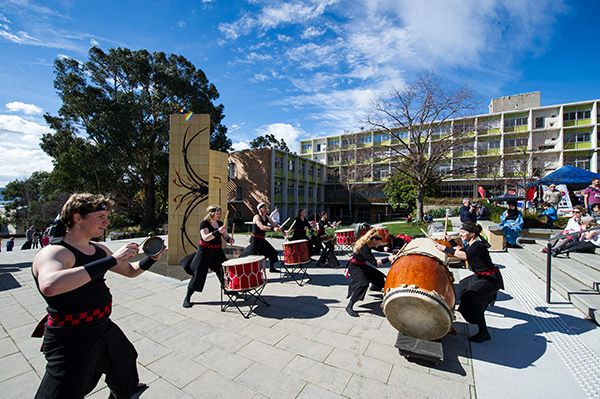 塔斯马尼亚大学|美呆了!澳洲会发光的海滩,一片片蓝色荧光好梦幻