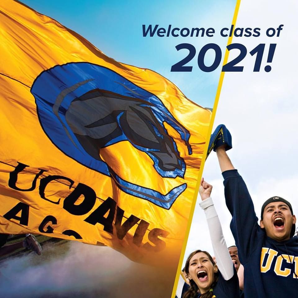 美国留学预测 | 明年加州大学的录取更难