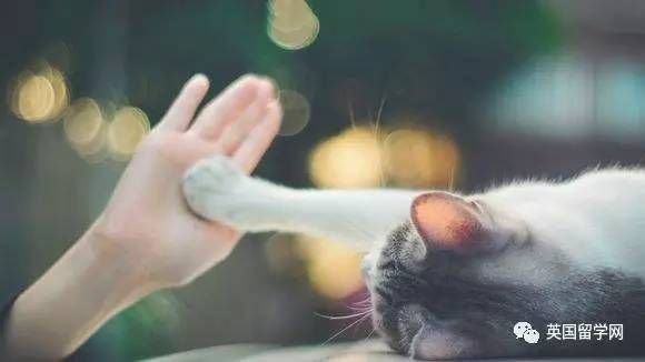 2018英国留学申请时间规划