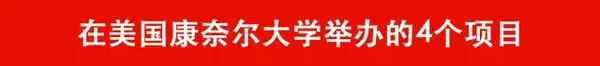【留学项目】康奈尔暑期项目招募:藤校教授教你如何做科研