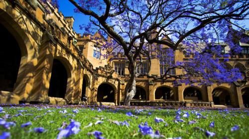 【澳洲留学】墨尔本大学最牛专业之一——会计