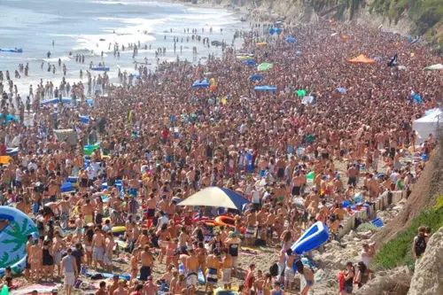 Party School排名,哪些美国大学最多派对?