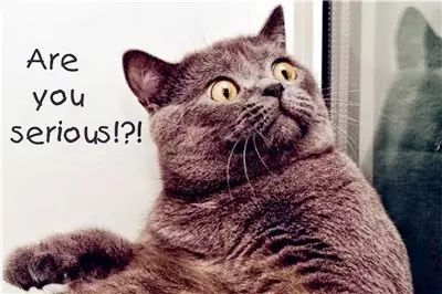 Yes or No？护照到底能不能乘国内航班？