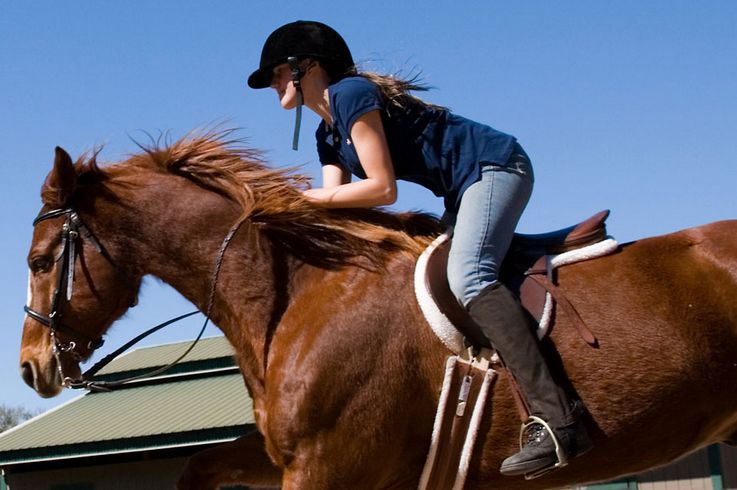 美国总统为什么都把孩子送去私立学校读书？