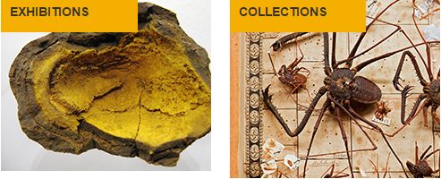 澳洲留学:富含文化艺术气息的悉尼大学