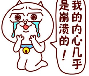 美国留学|美国学霸有多拼?请收下我的膝盖!