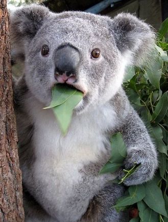 美国留学|美国学霸有多拼?请收下我的膝盖!